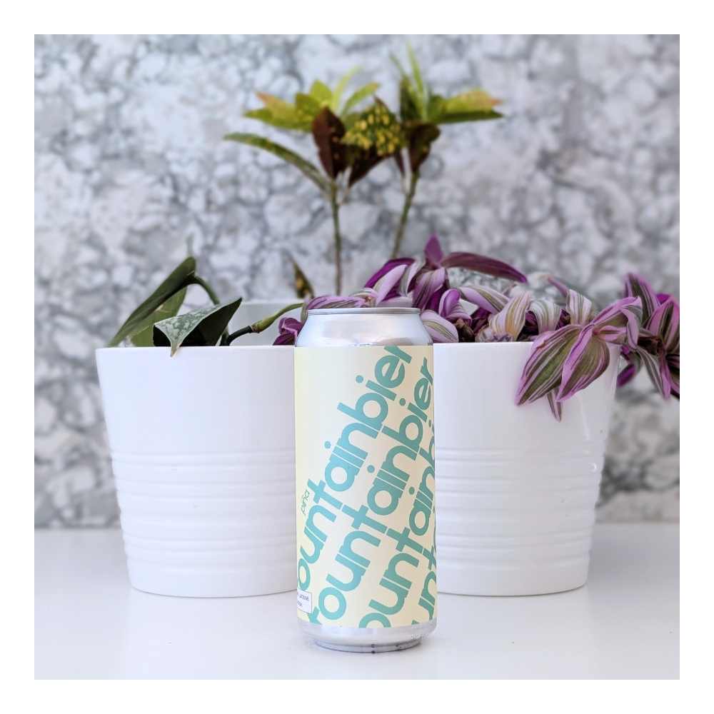 x Collective Arts Brewing Fountainbier (Pina) Sour by Superflux Beer Company, beer label
