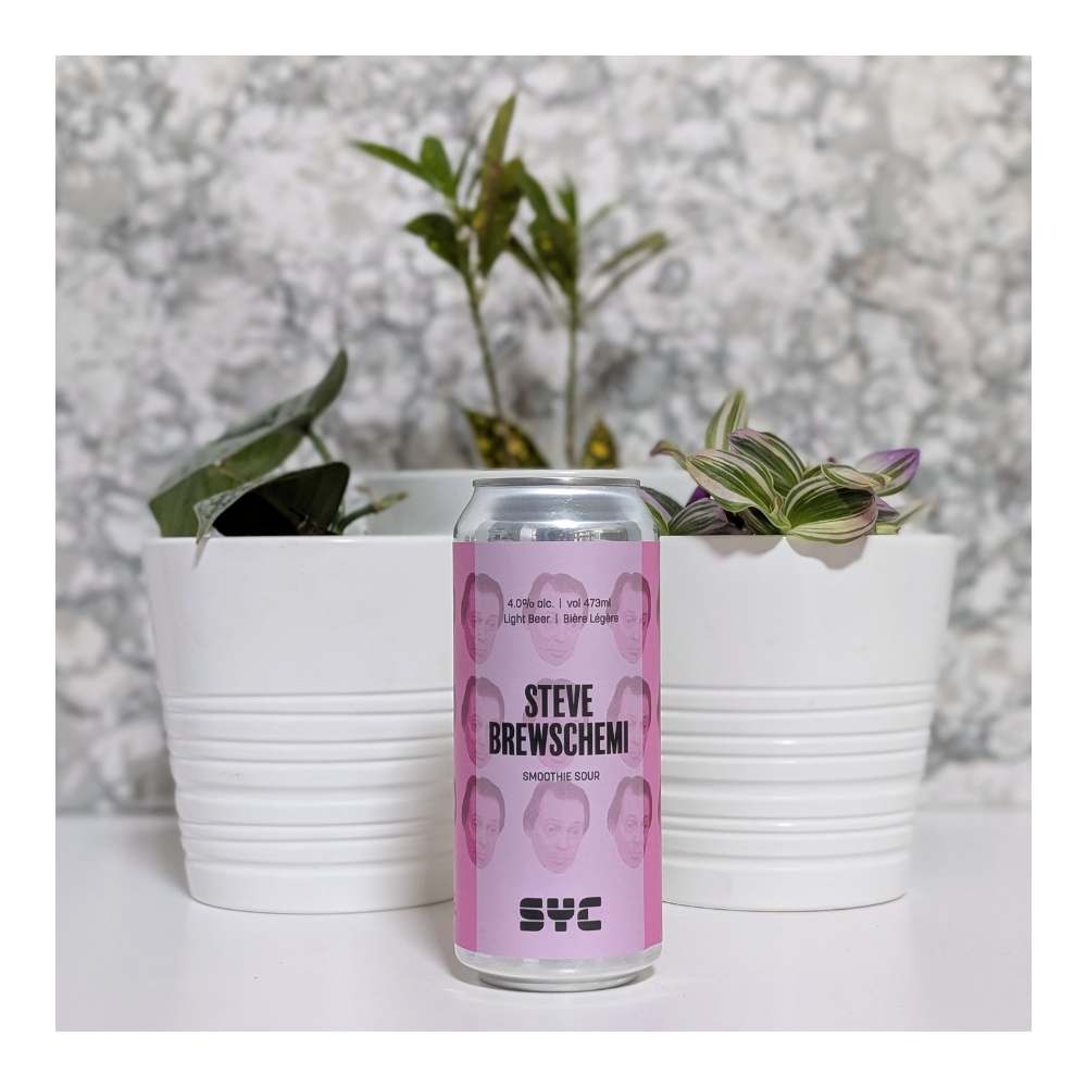 Steve Brewschemi Fruited Sour by SYC Brewing Co., beer label