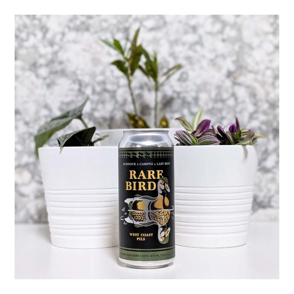 x Campio Brewing Co. x Burdock Brewery Rare Birds West Coast Pilsner by Last Best Brewing & Distilling, beer label
