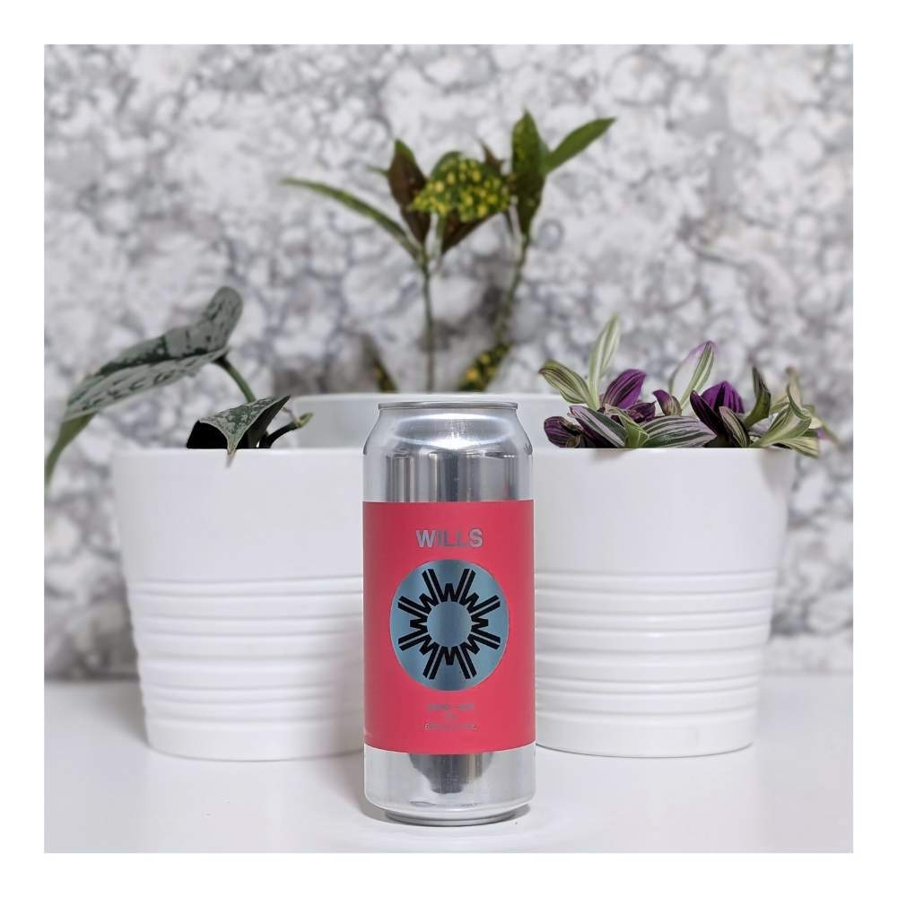 Nord+Sud Hazy IPA by Wills, beer label