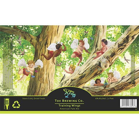 Tox Training Wings Pale Ale by Tox Brewing Company, beer label