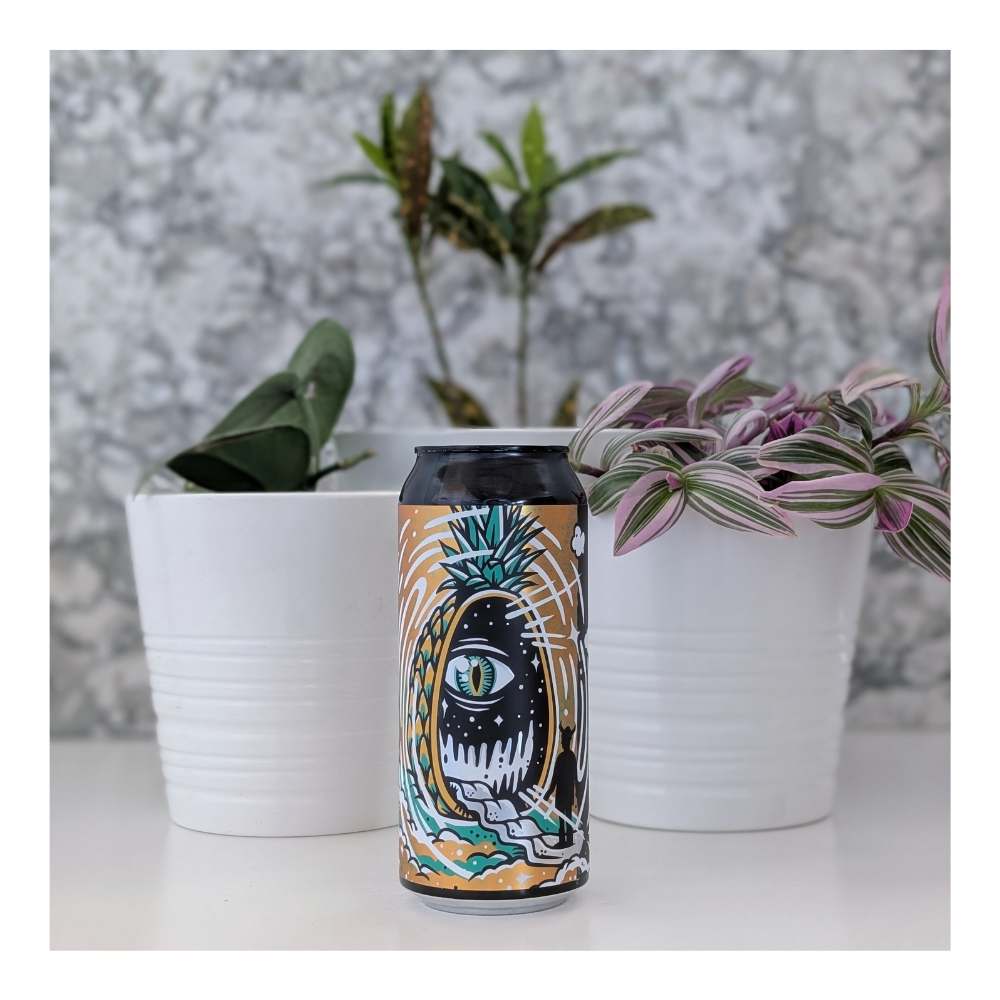 Pineapple Portal Pineapple Sour by New Level Brewing, beer label