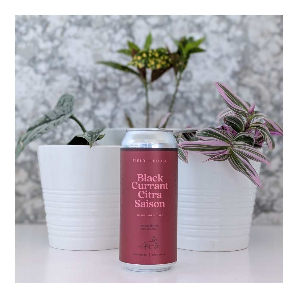 Black Currant CItra Saison by Field House Brewing Co., beer label