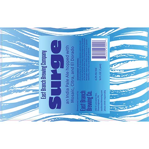 East Branch Surge IPA by East Branch Brewing Company, beer label