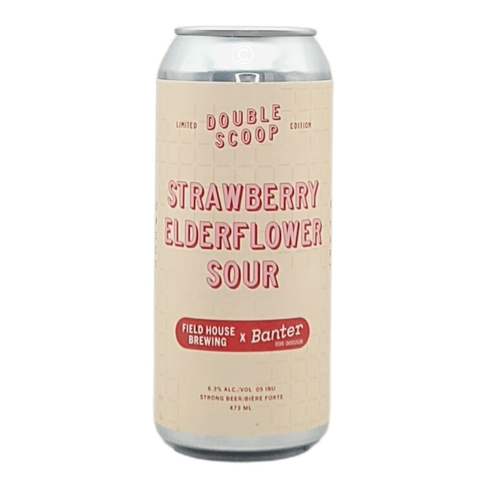 Strawberry Elderflower Ice Cream Sour by Field House Brewing Co., beer label