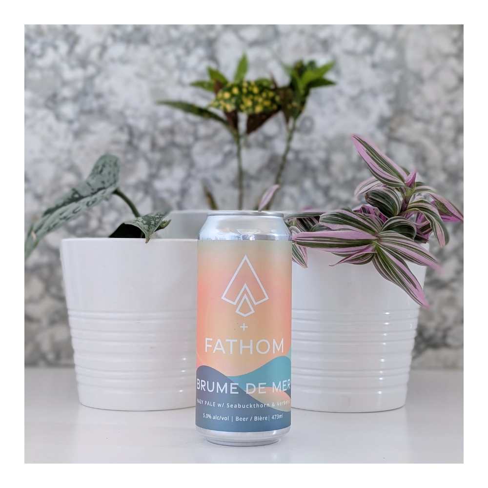 Co. Brume De Mer Hazy Pale Ale by Ile Sauvage Brewing Company, beer label