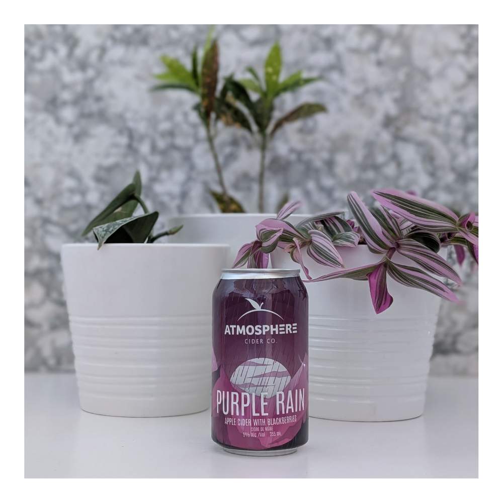 Purple Rain Cider by Atmosphere Cider Company, beer label