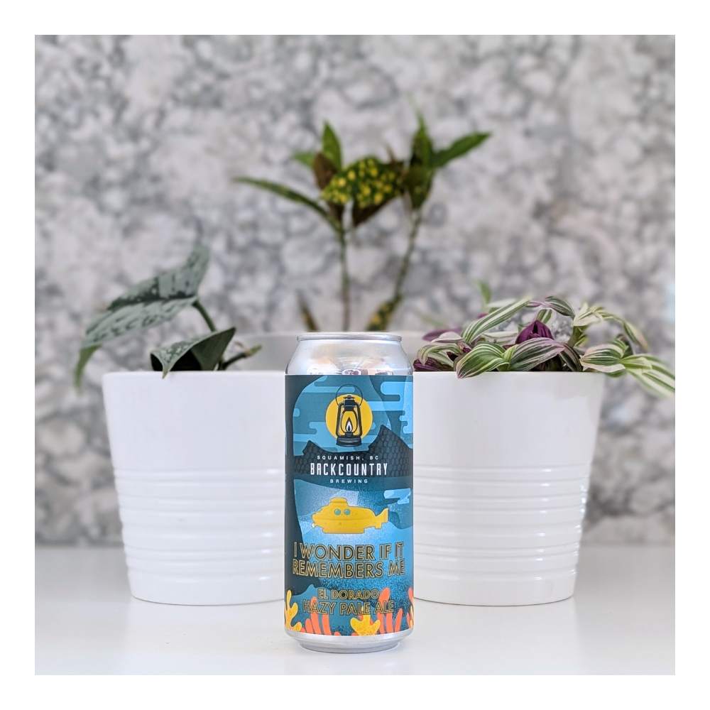 I Wonder If It Remembers Me Hazy Pale Ale by Backcountry Brewing, beer label