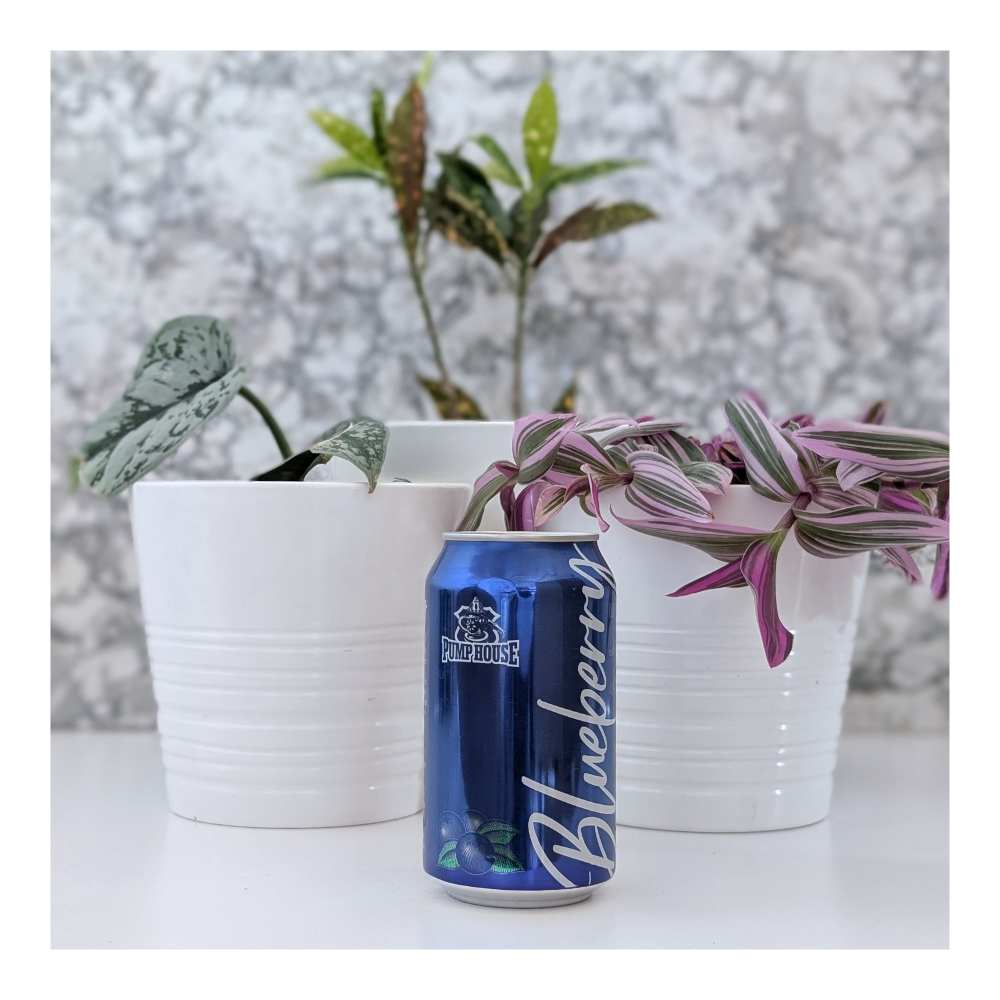 Blueberry Ale by Pump House Brewery, beer label