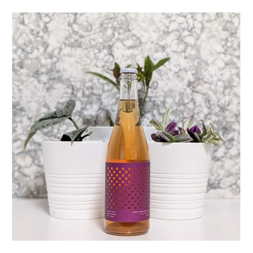 Co. BRRL Room Dragon Fruit Mango Passion Fruit Sour by Field House Brewing Co., beer label