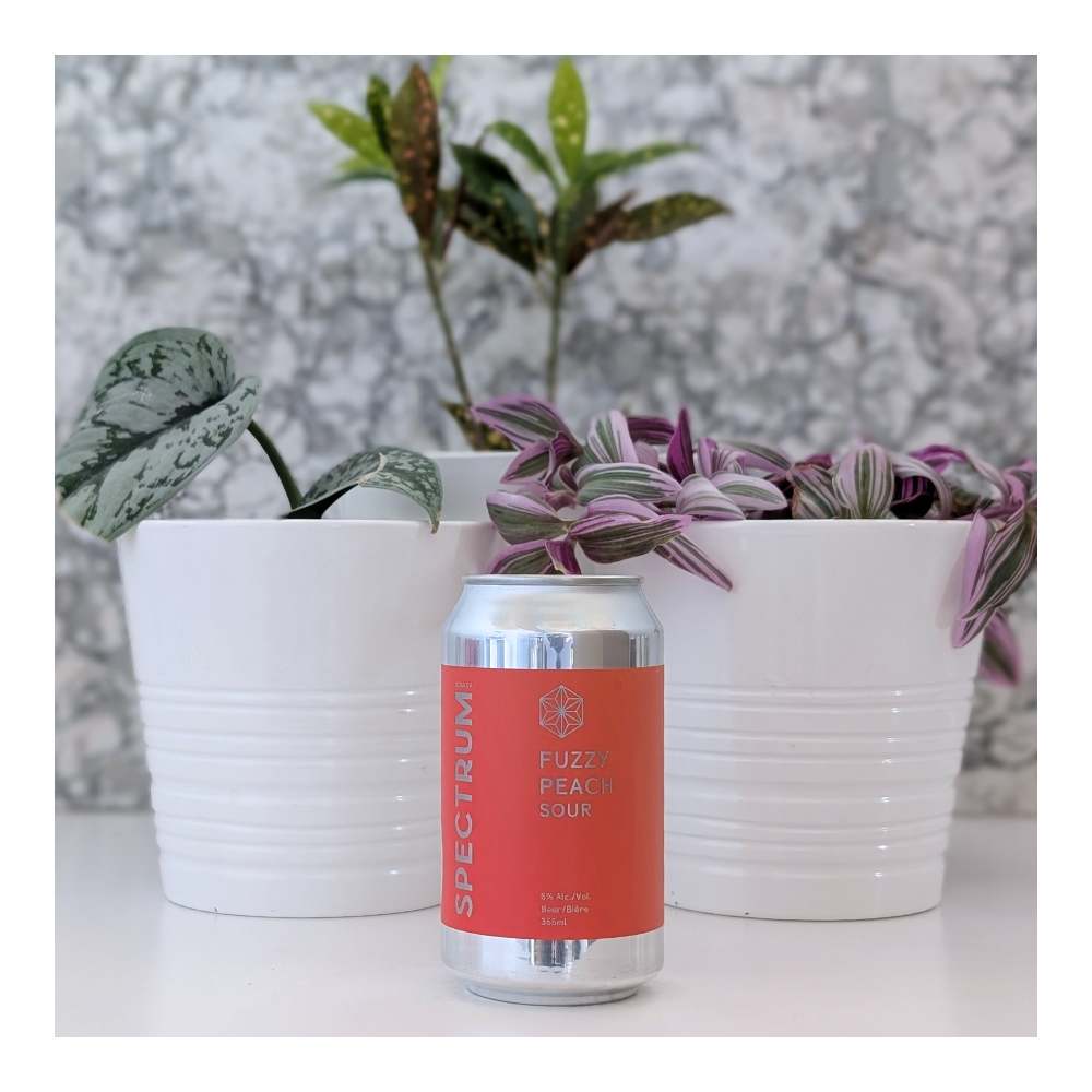 Beer Company Fuzzy Peach Sour by Spectrum Beer Company, beer label