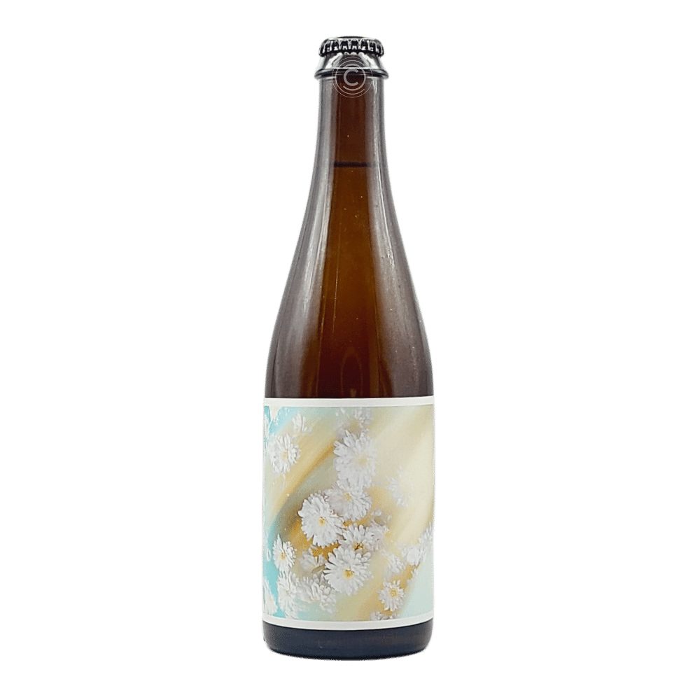 Daydream Brett Saison by Low Life Barrel House, beer label