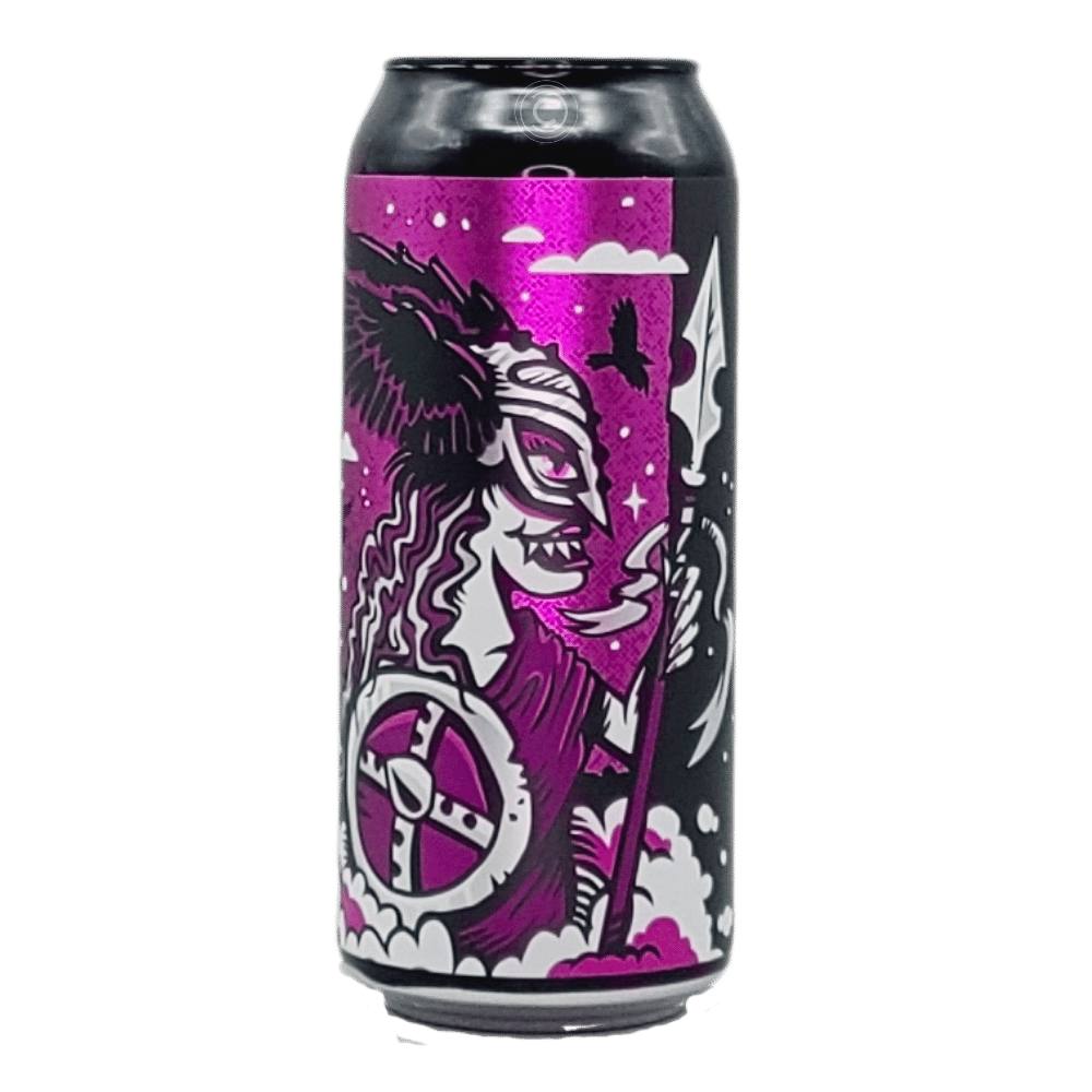 Valkyrie Fruit Beer by New Level Brewing, beer label