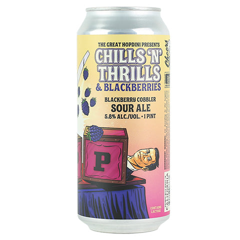 Paperback Chills n' Thrills Sour by Paperback Brewing Co., beer label