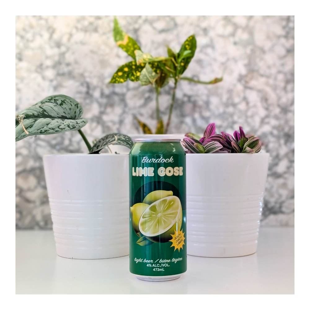 Lime Gose by Burdock, beer label