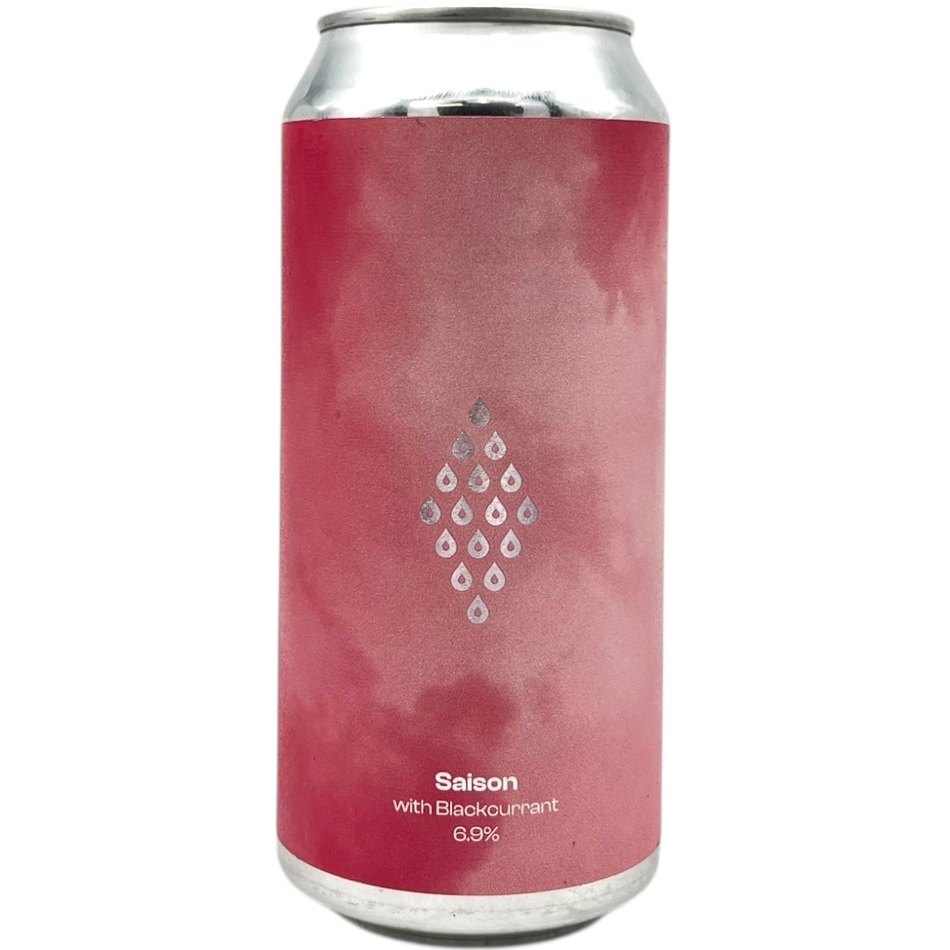 Polly's Blackcurrant Saison by Polly's Brew, beer label