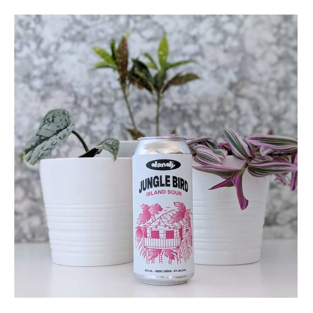 Jungle Bird Island Sour by The Dandy Brewing Company, beer label