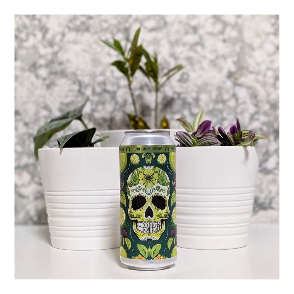 Salted Lime Cerveza by Town Square Brewing Co., beer label