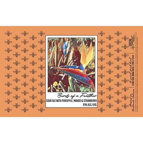 Social Project Birds Of A Feather Sour Ale by Social Project Brewing Co., beer label
