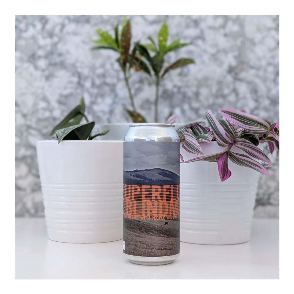 x Blindman Brewing Do Fun Shit With People You Like Vol. 2 Hazy IPA by Superflux Beer Company, beer label