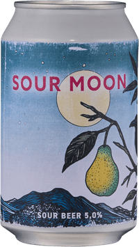 Sour Moon by Rocket Brewing Company, beer label