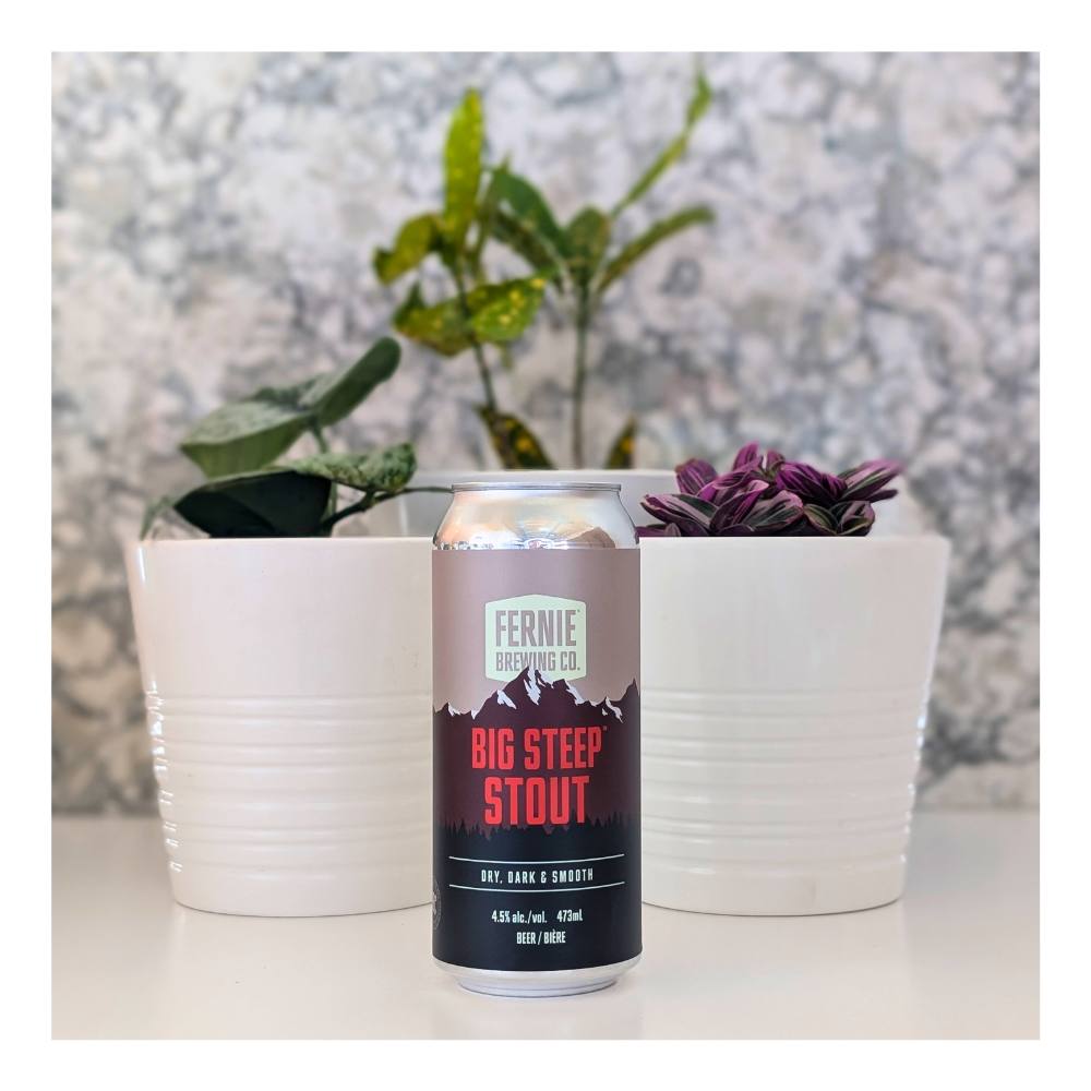 Big Steep Irish Stout by Fernie Brewing Co, beer label