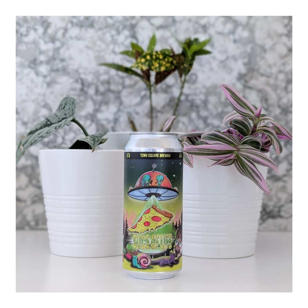 Slice of Life Hazy IPA by Town Square Brewing Co., beer label