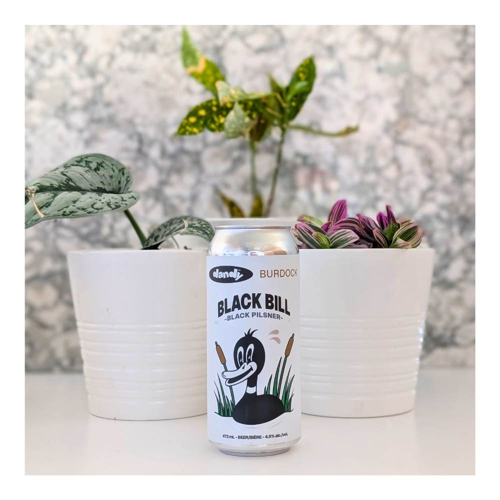 x Burdock Brewery Black Bill Dark Lager by The Dandy Brewing Company, beer label