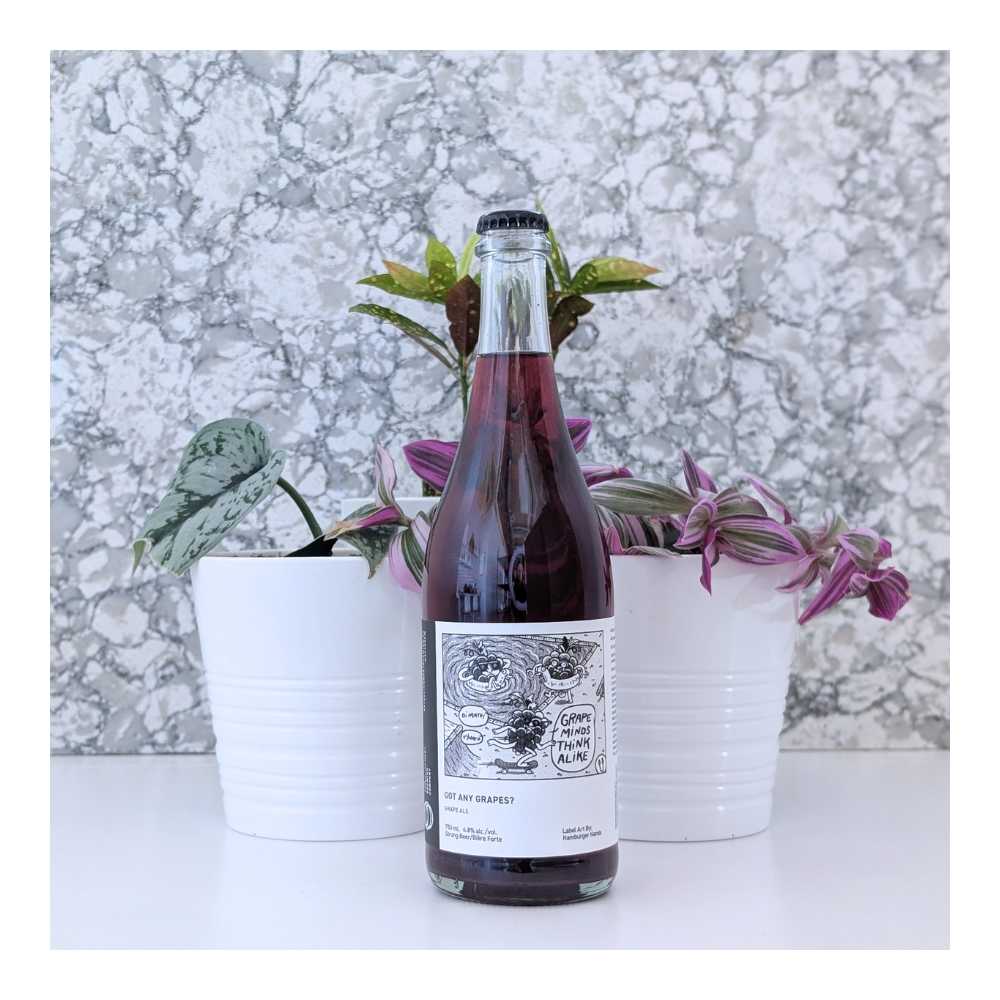 Got Any Grapes? Barrel-Aged Grape Ale by The Establishment Brewing Company, beer label
