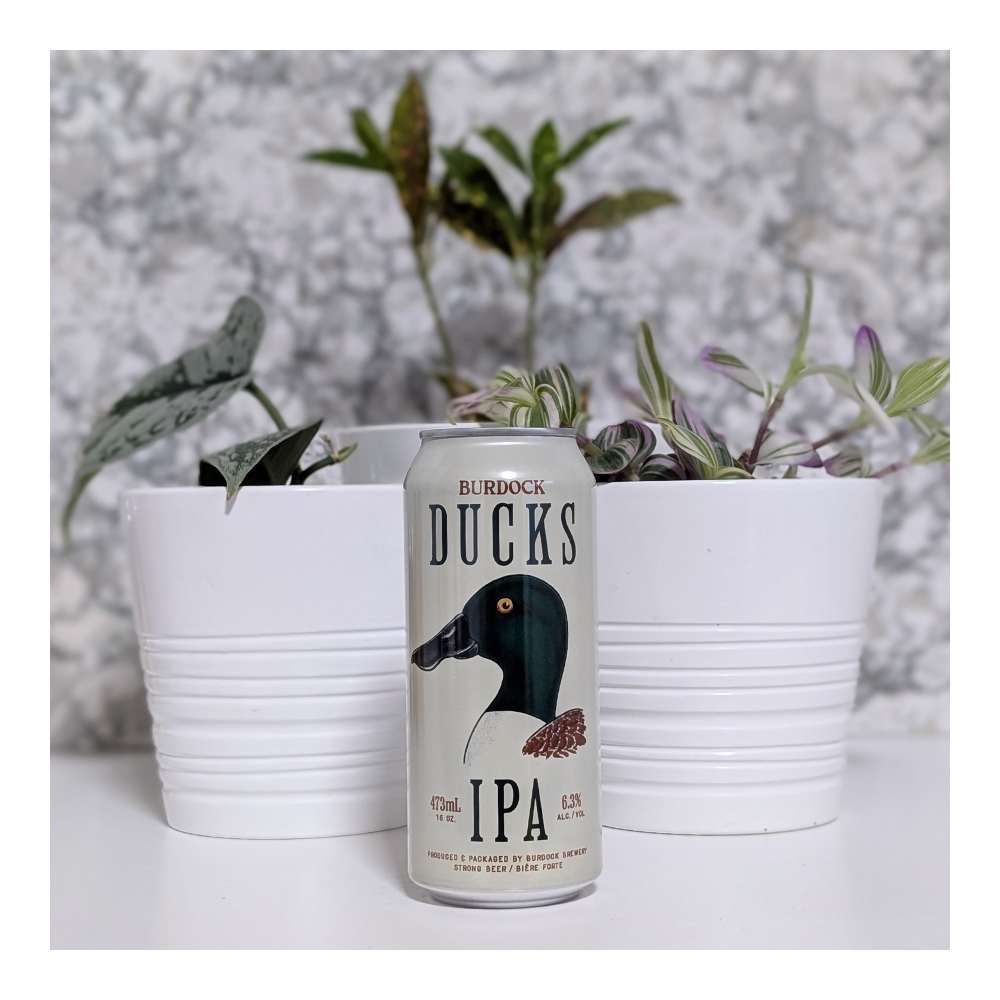 Ducks Hazy IPA by Burdock, beer label