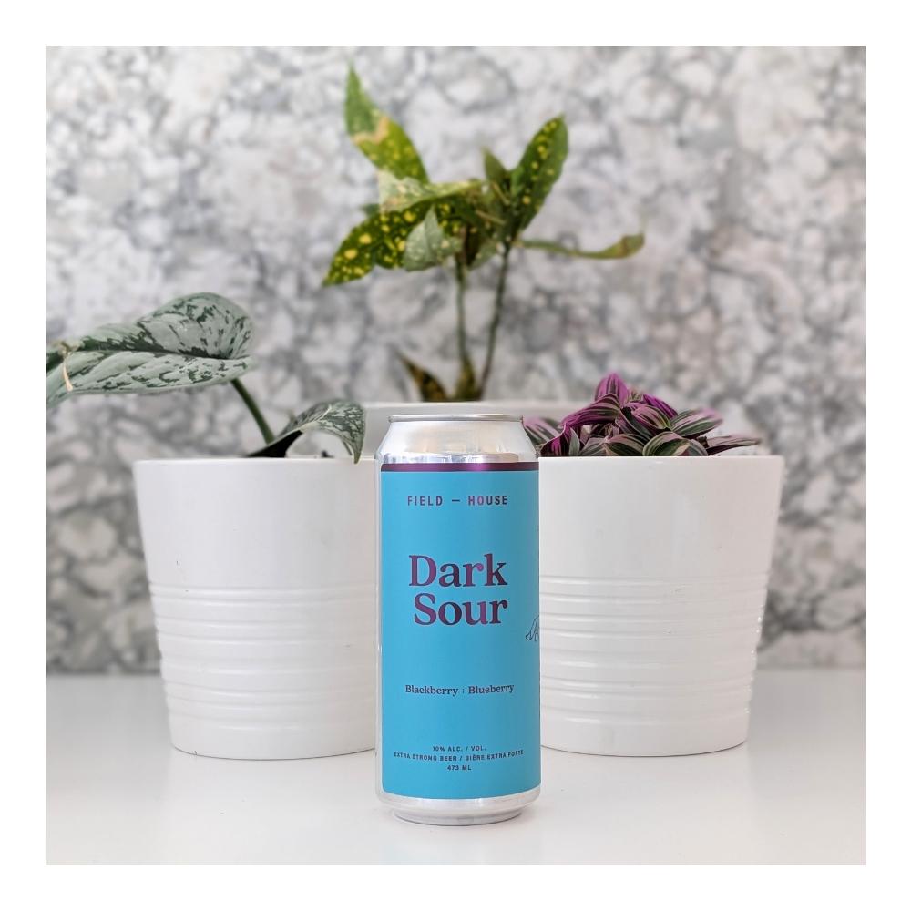 Co. Dark Blackberry Blueberry Sour by Field House Brewing Co., beer label
