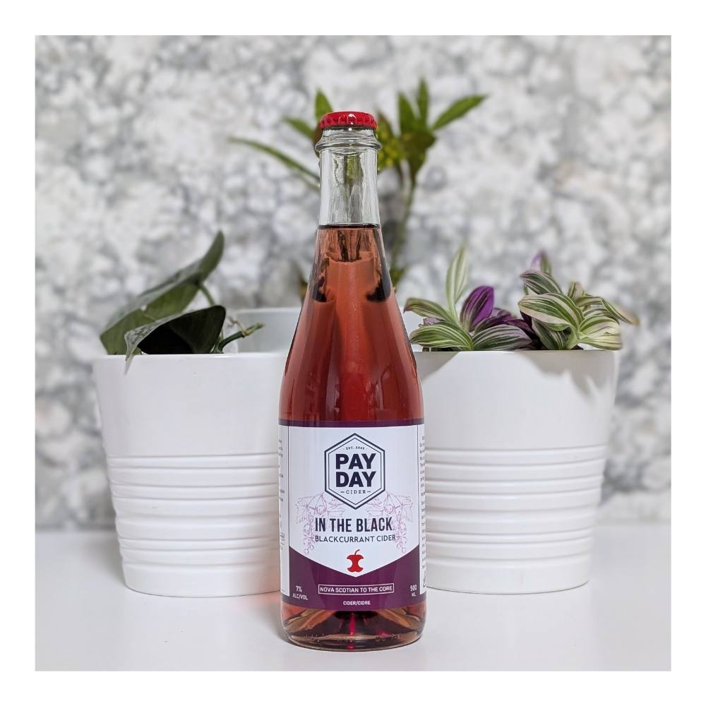 In The Black Blackcurrant Cider by Payday Cider, beer label