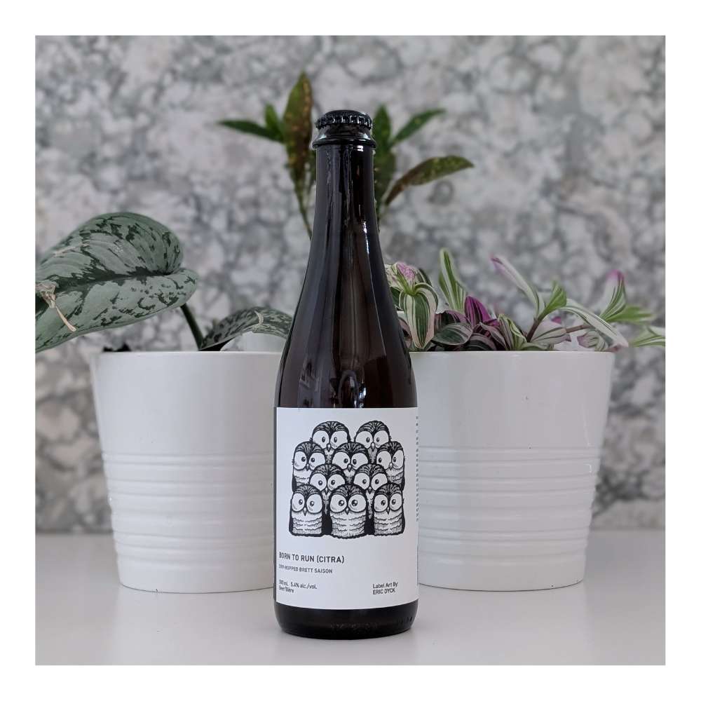 Born To Run (Citra) Dry Hopped Brett Saison by The Establishment Brewing Company, beer label