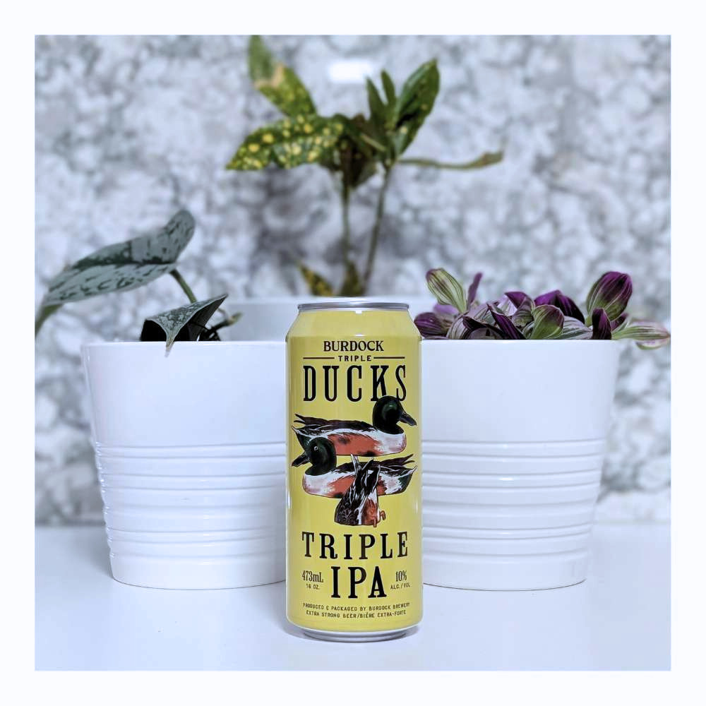 Triple Ducks IPA by Burdock, beer label