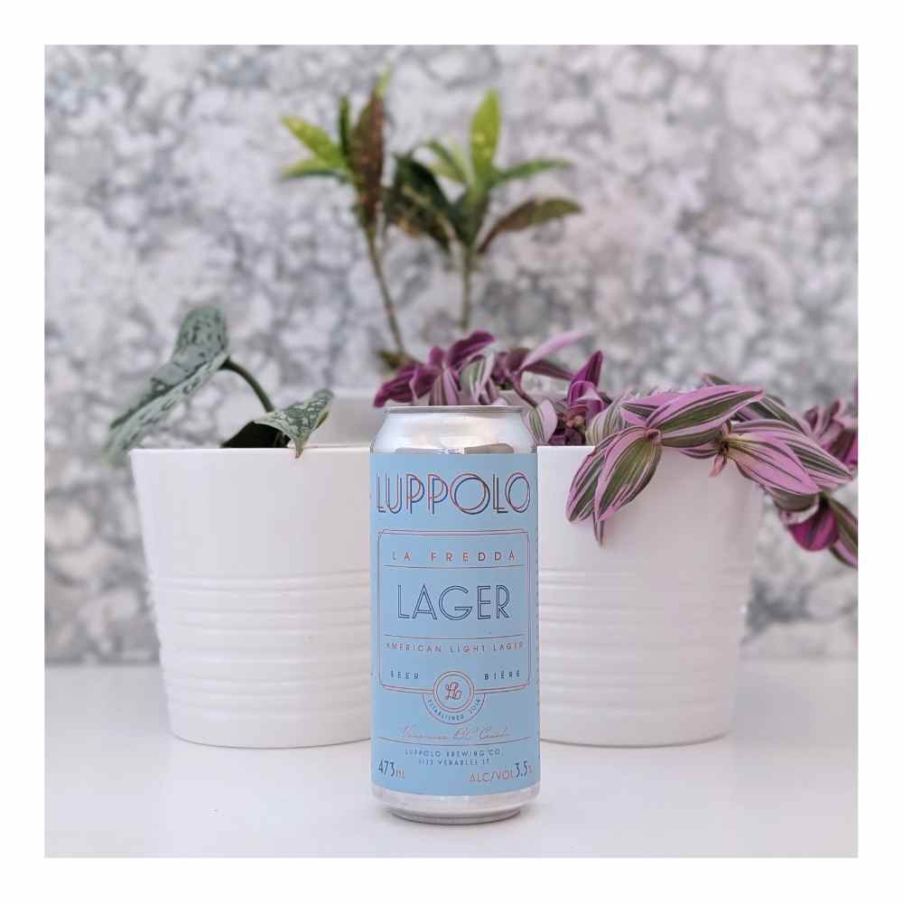 Co. La Fredda American Light Lager by Luppolo Brewing Co, beer label