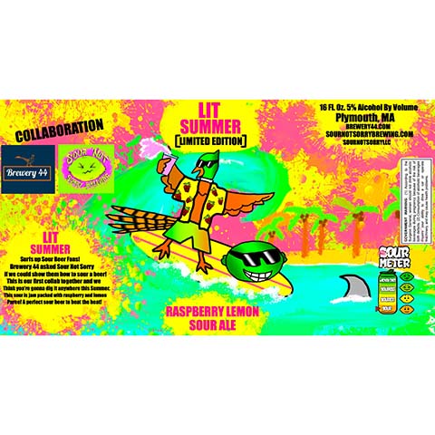 Sour Not Sorry Lit Summer Sour Ale by Sour Not Sorry Brewing, beer label