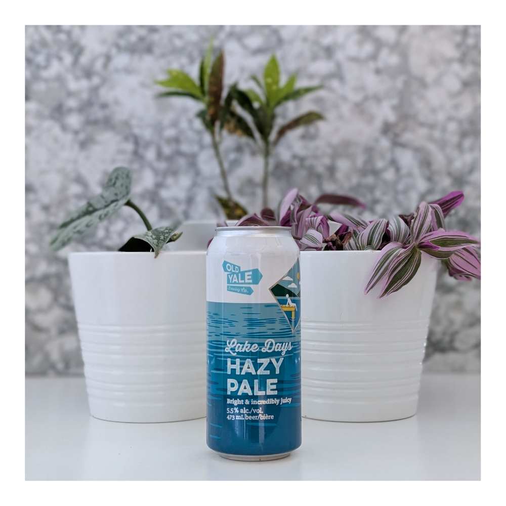 Lake Life Hazy Pale Ale by Old Yale Brewing Company, beer label