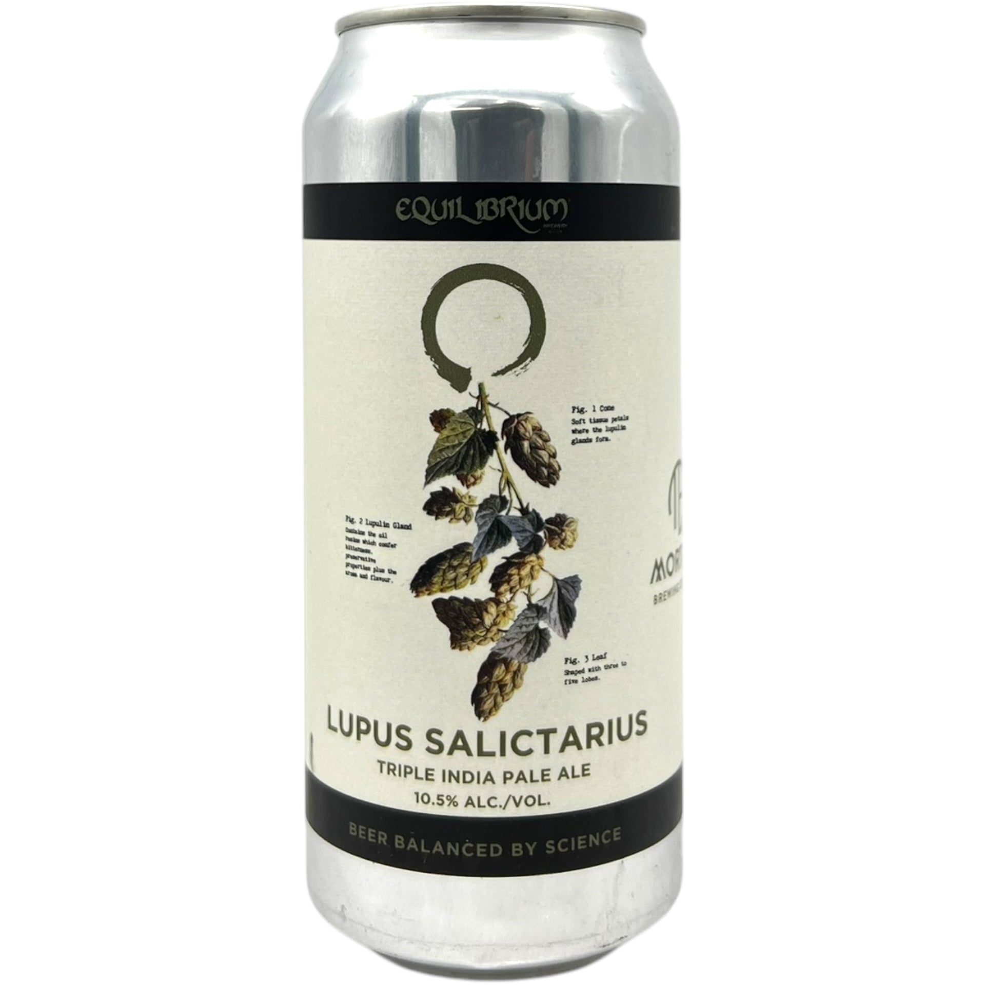 Equilibrium x Mortalis Lupus Salictarius by Equilibrium Brewery, beer label