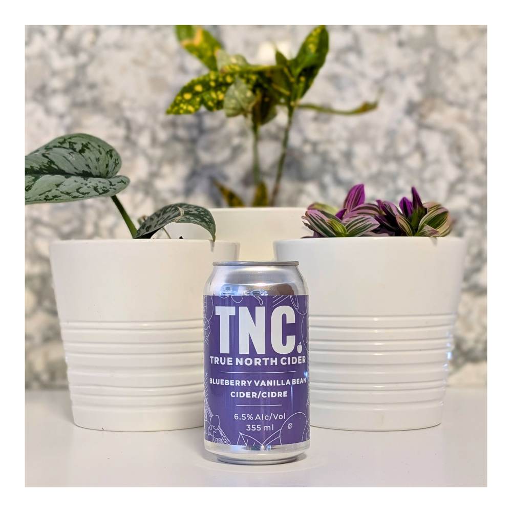 Cider Blueberry Vanilla Bean Cider by True North, beer label