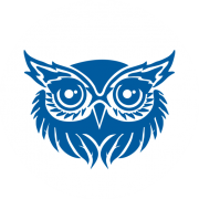 Blue Owl Brewing logo