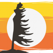 Driftwood Brewery logo