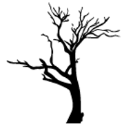 Deep Creek Brewing logo