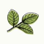 Fieldwork Brewing Company logo