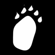 Big Bear Brewing Co logo