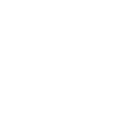 Divine Barrel Brewing logo