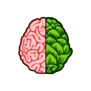 Ingenious Brewing Company logo