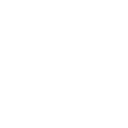Mescan Brewery logo