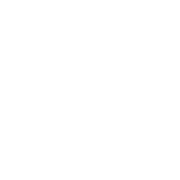 San Pedro Brewing Co logo